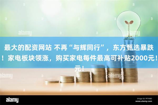 最大的配资网站 不再“与辉同行”，东方甄选暴跌！家电板块领涨，购买家电每件最高可补贴2000元！