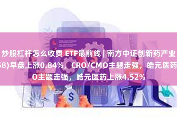 炒股杠杆怎么收费 ETF最前线 | 南方中证创新药产业ETF(159858)早盘上涨0.84%，CRO/CMO主题走强，皓元医药上涨4.52%