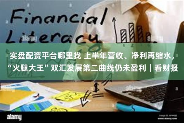 实盘配资平台哪里找 上半年营收、净利再缩水，“火腿大王”双汇发展第二曲线仍未盈利｜看财报