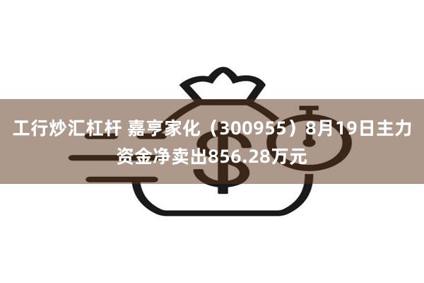 工行炒汇杠杆 嘉亨家化（300955）8月19日主力资金净卖出856.28万元