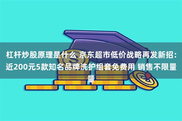 杠杆炒股原理是什么 京东超市低价战略再发新招：近200元5款知名品牌洗护组套免费用 销售不限量