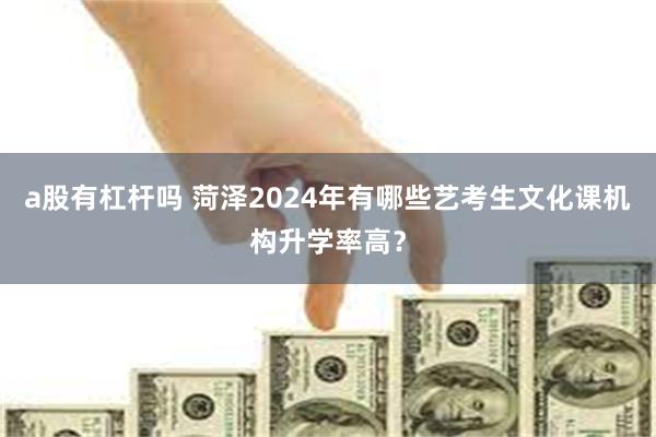 a股有杠杆吗 菏泽2024年有哪些艺考生文化课机构升学率高？