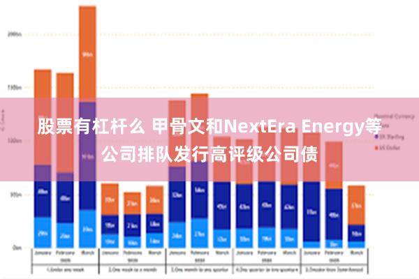 股票有杠杆么 甲骨文和NextEra Energy等公司排队发行高评级公司债